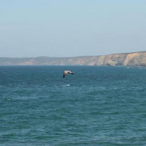 IMG 7897