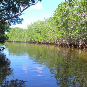 Reserva em Sian Ka'an