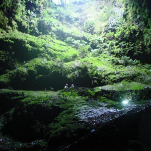 DSC02389