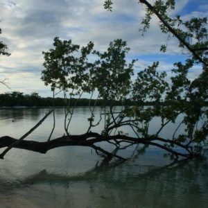 Jamaica (201) 800x533