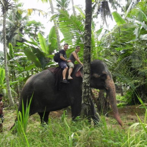Sri Lanka 2011