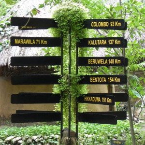 Sri Lanka 2011