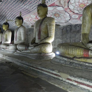 Sri Lanka 2011