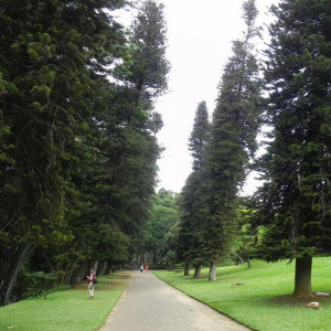 Sri Lanka 2011