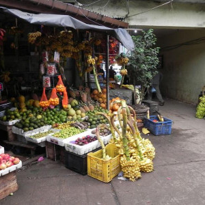 Sri Lanka 2011