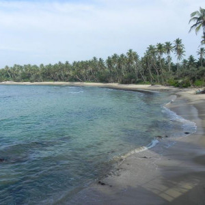 Sri Lanka 2011