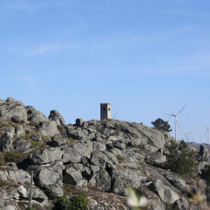 sortelha (2)