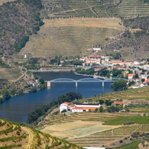 DSC_4240a1a (Copiar)