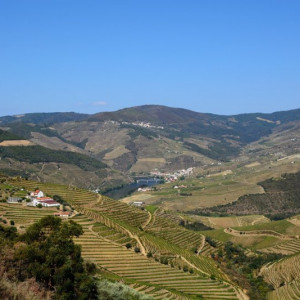 DSC_4249a1a (Copiar)