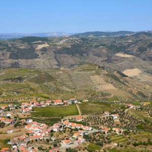 DSC_4340a1a (Copiar)