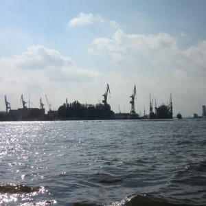 IMG00029