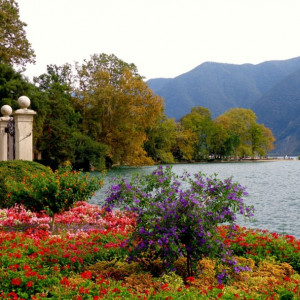 DSC05589ParcoCiani_Lugano+ [1024x768]