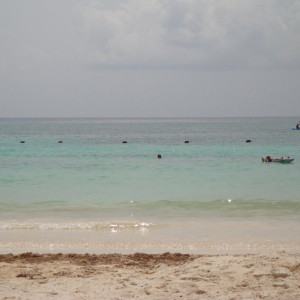 DSC04833