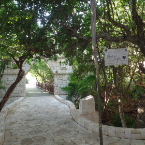 SAM_0930
