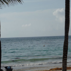 SAM_0956