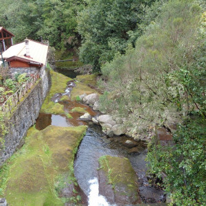 DSC00447