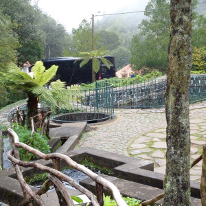 DSC00454
