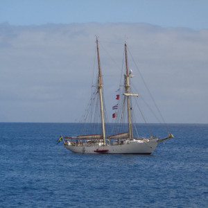 DSC00507