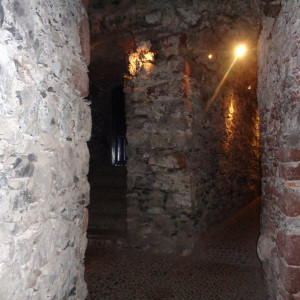DSC00511