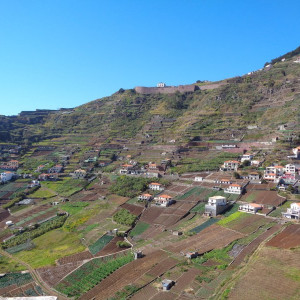 DSC00850