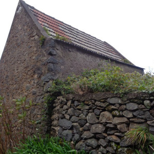 DSC00880