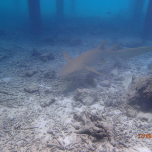 P9120007