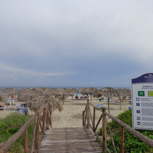 DSC00967