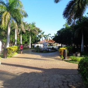DSC01111