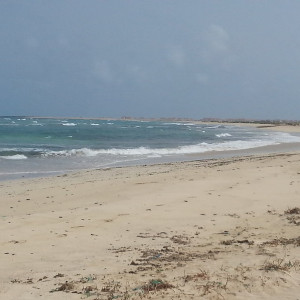 20150916_163111