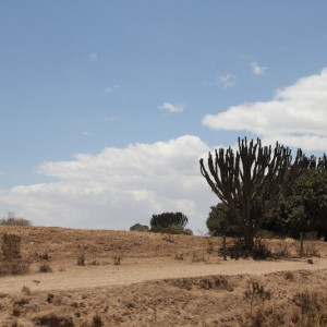 Quenia 2 299