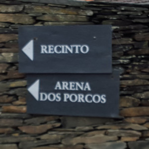 20151004_155410 - Cópia - Cópia