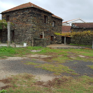 20151004_160106 - Cópia - Cópia