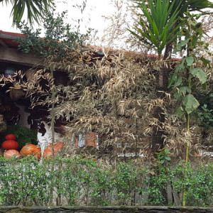 20151004_164023 - Cópia