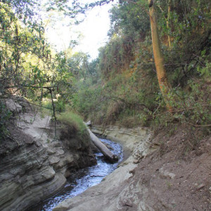 Quenia 1 075