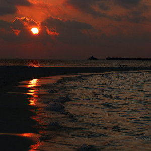 IMG_2817_signed