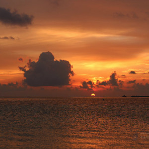 IMG_3258_signed