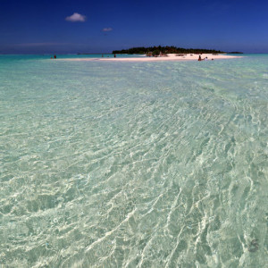 IMG_3383 Panorama_signed