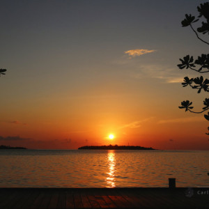 IMG_3706_signed