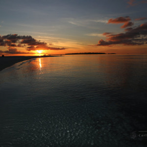 IMG_3853_signed