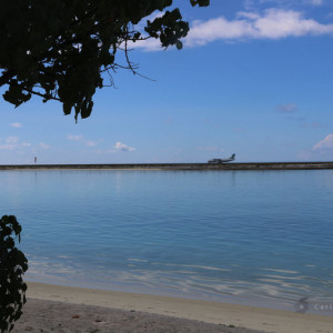 IMG_3886_signed