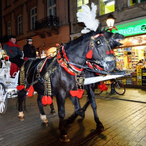 DSC_5909aa (Copiar)