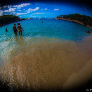 34