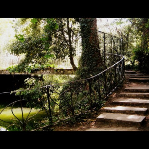 Parque