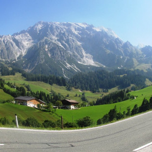 IMG_1044