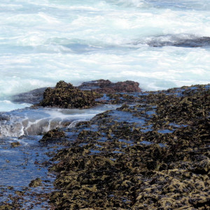 O Mar