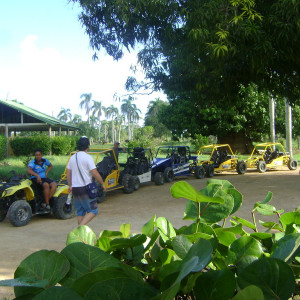 DSC08824