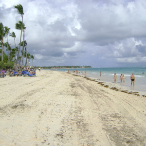 DSC08916
