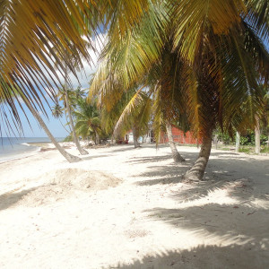 DSC09626