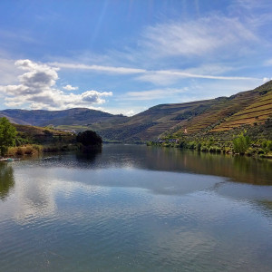Douro_2015 (23)_1