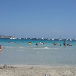 20150804_125058
